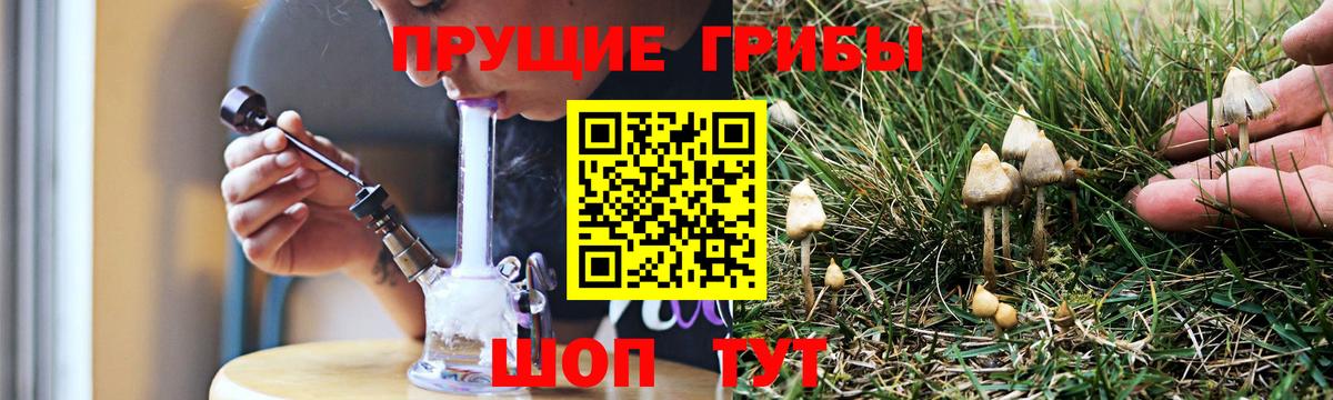 Кизилюрт  Галлюциногенные грибы Cubensis  закладки  Вход с VPN 